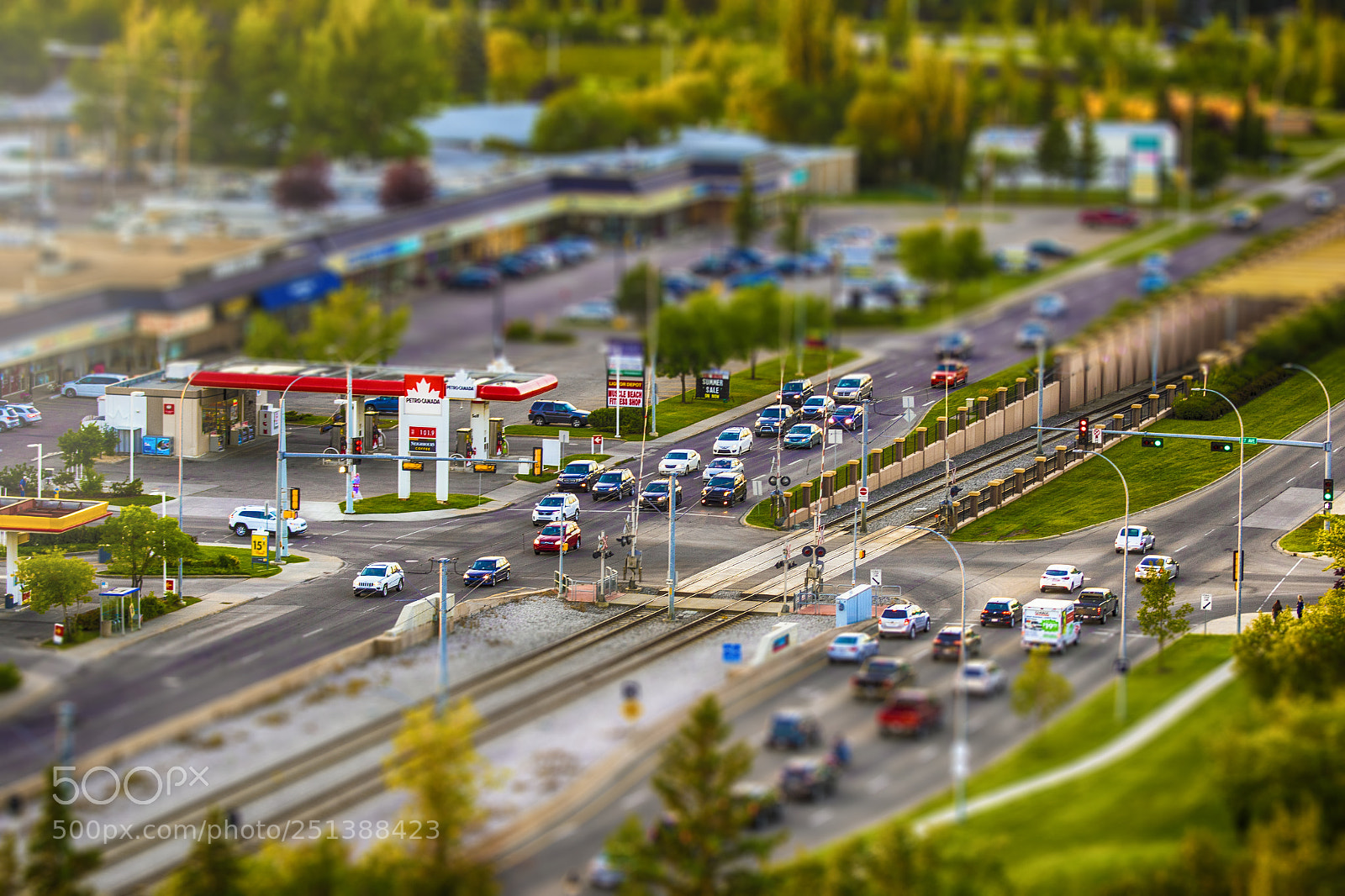 Canon EOS 7D Mark II sample photo. Miniature photography