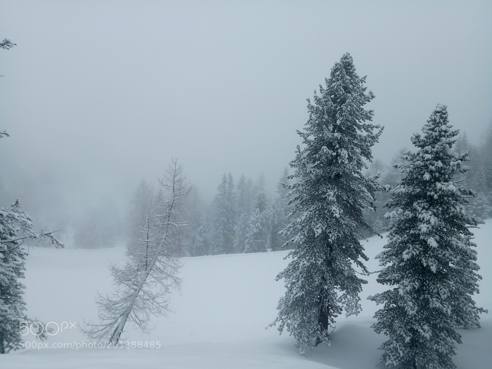 OPPO A1601 sample photo. Late winter landscape photography