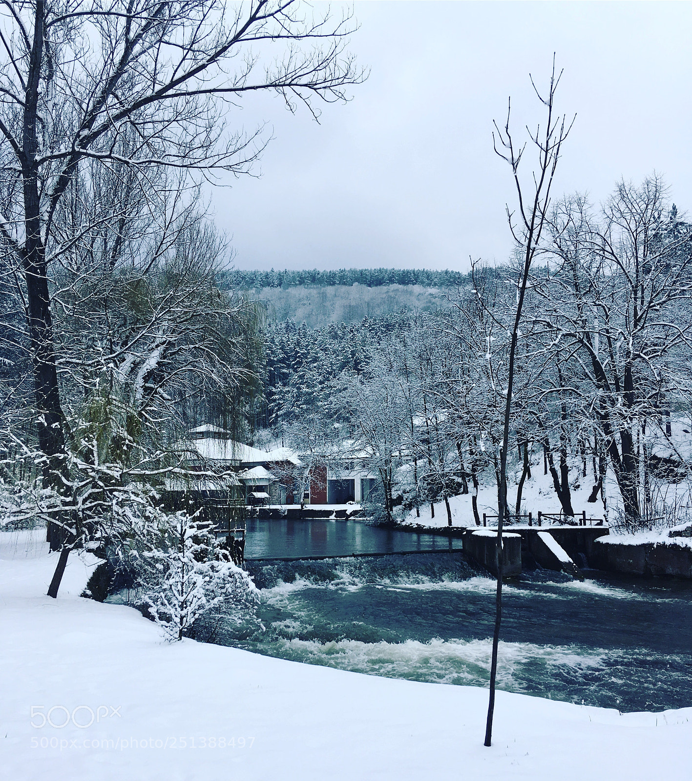 Apple iPhone SE sample photo. 
vrelo mlave...?❄️ photography