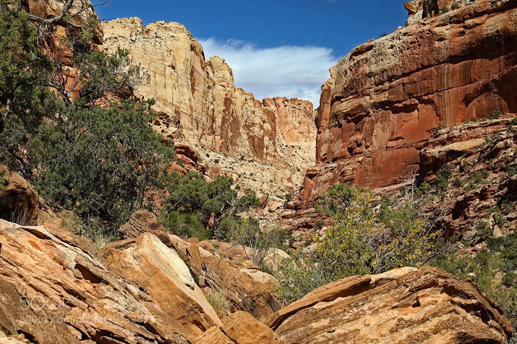 Canon EOS 5D Mark IV sample photo. Capital reef scenery photography