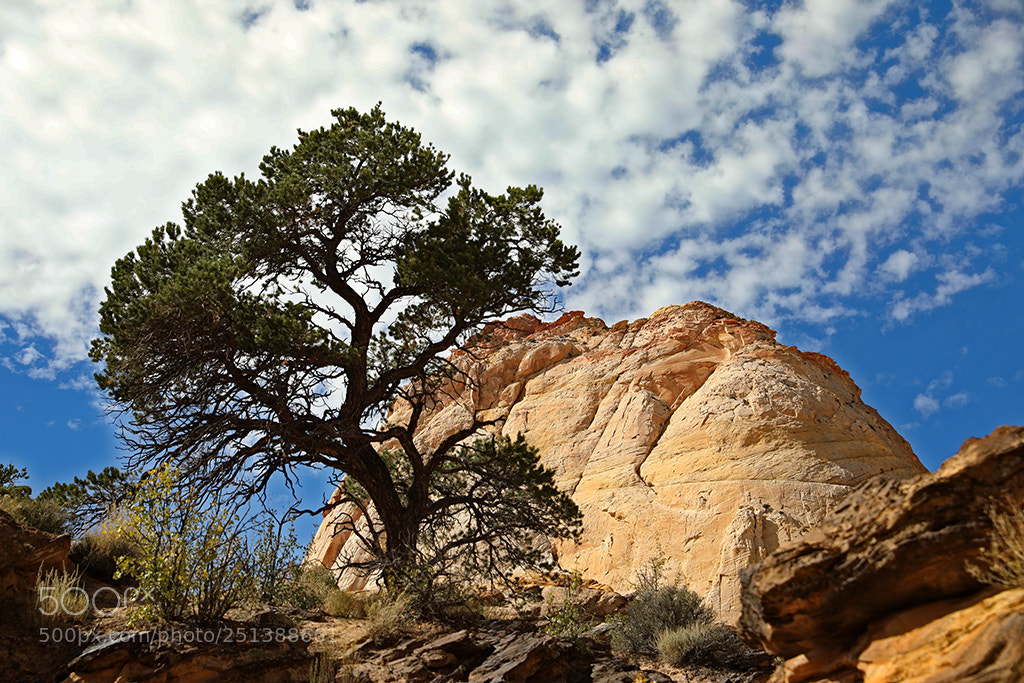 Canon EOS 5D Mark IV sample photo. Utah photography