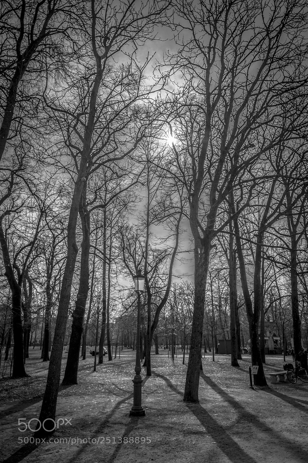 Nikon D7200 sample photo. ...sun.... photography