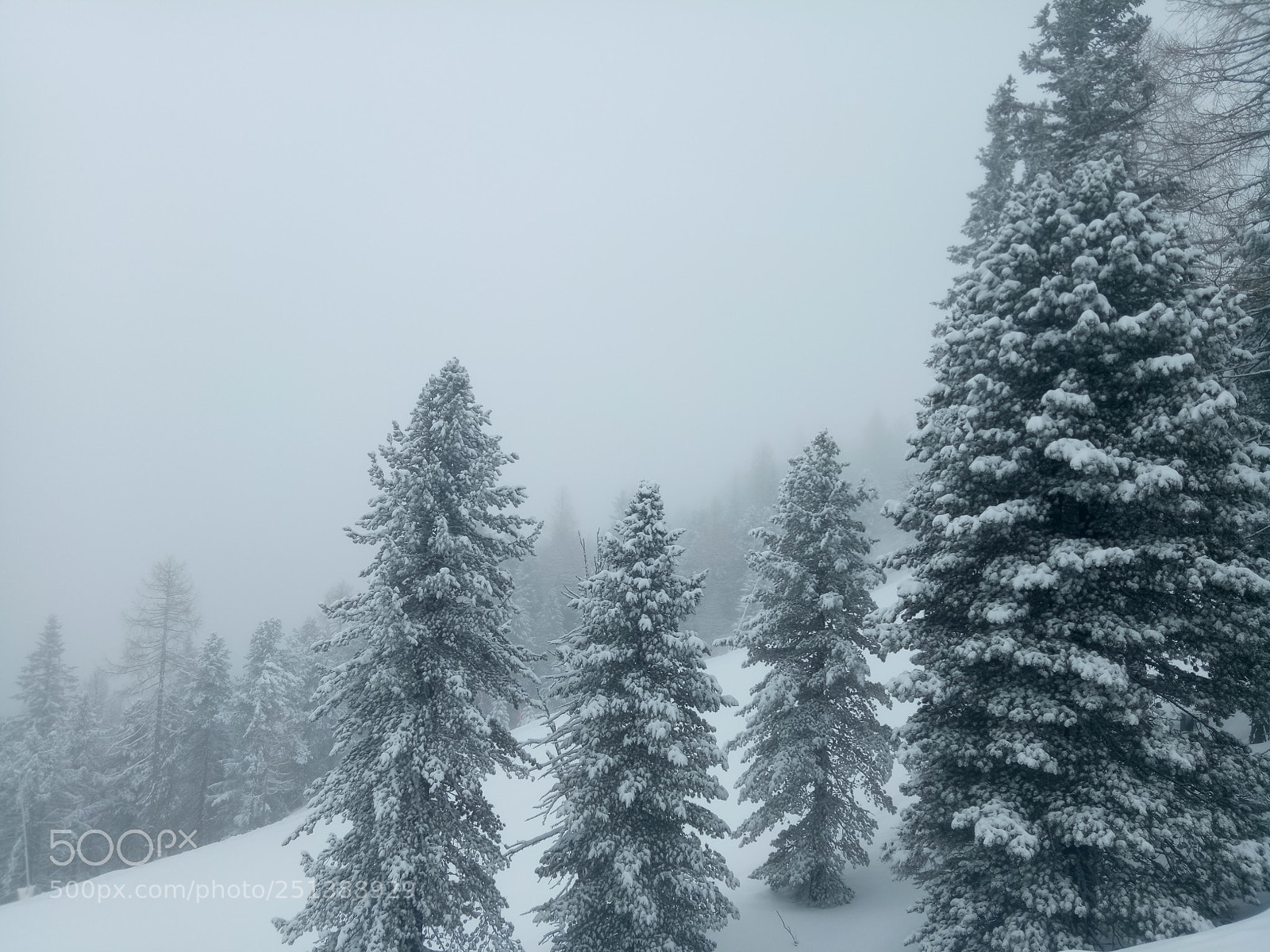 OPPO A1601 sample photo. Fresh snow in a photography