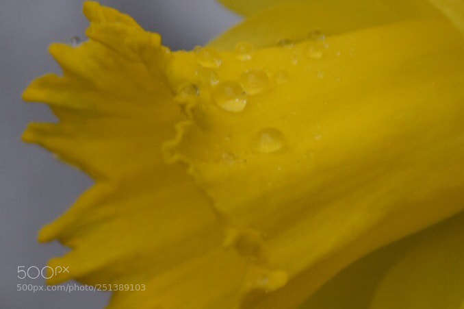 Nikon D5300 sample photo. Untitled photography