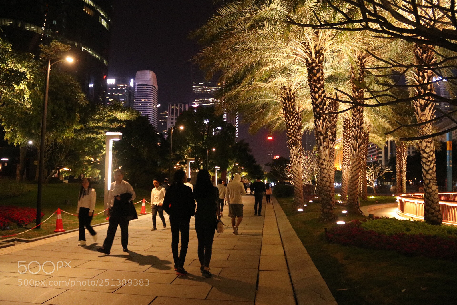 Canon EOS 80D sample photo. Untitled photography