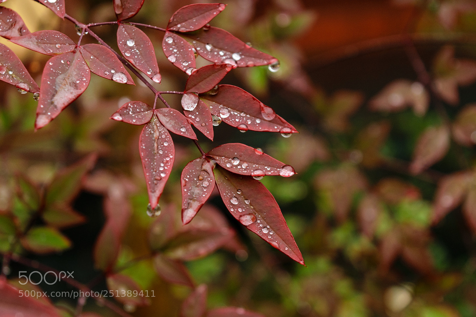 Nikon D5300 sample photo. The moment of zen photography