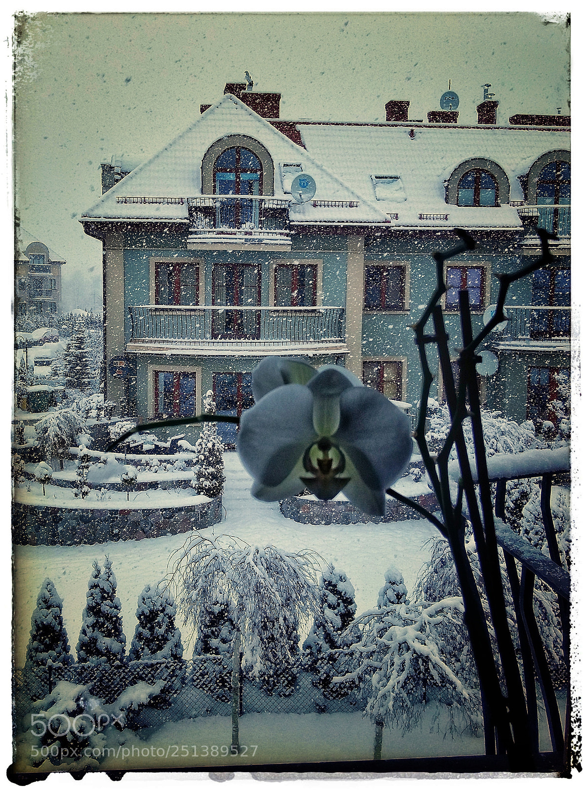 Samsung Galaxy A5 sample photo. Maybe last snow... photography