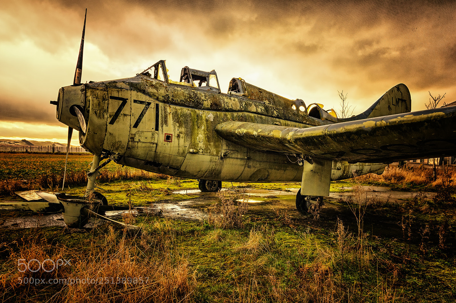 Pentax K-3 sample photo. Raf fairey gannet photography