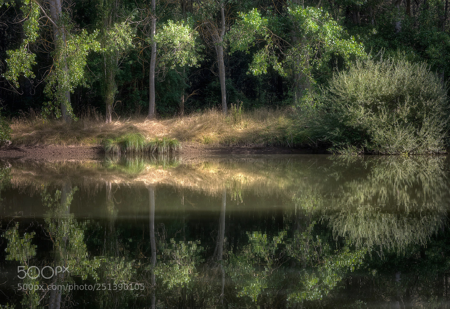 Canon EOS 70D sample photo. Reflejos del río photography