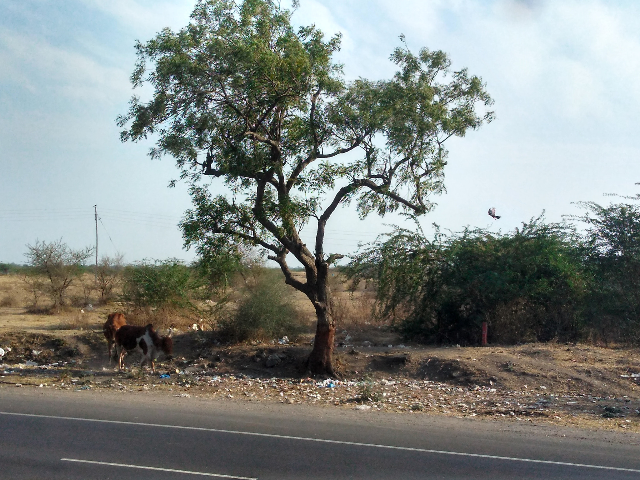 Motorola Moto G Play sample photo