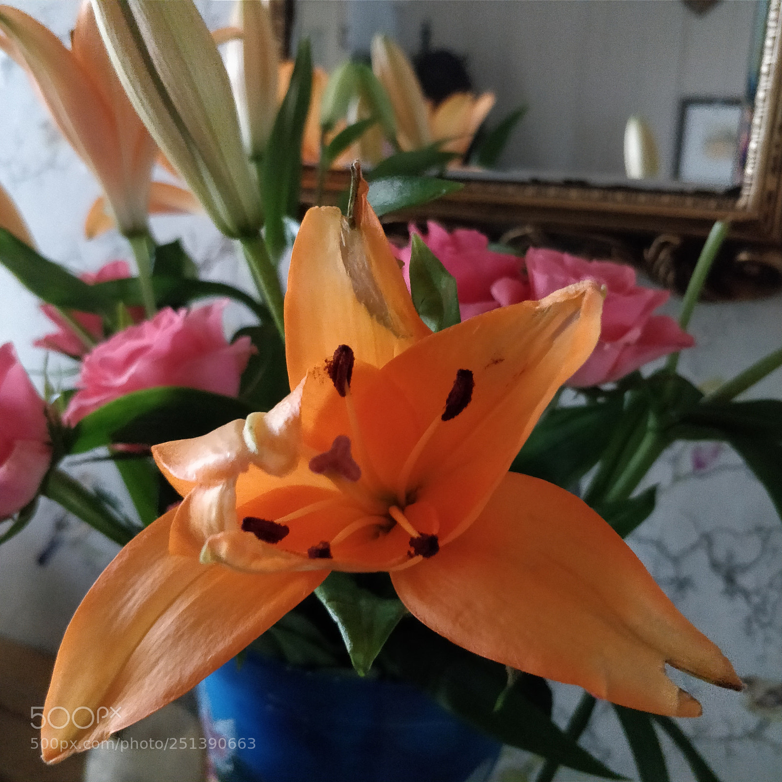 OnePlus 5 sample photo. Lilies photography