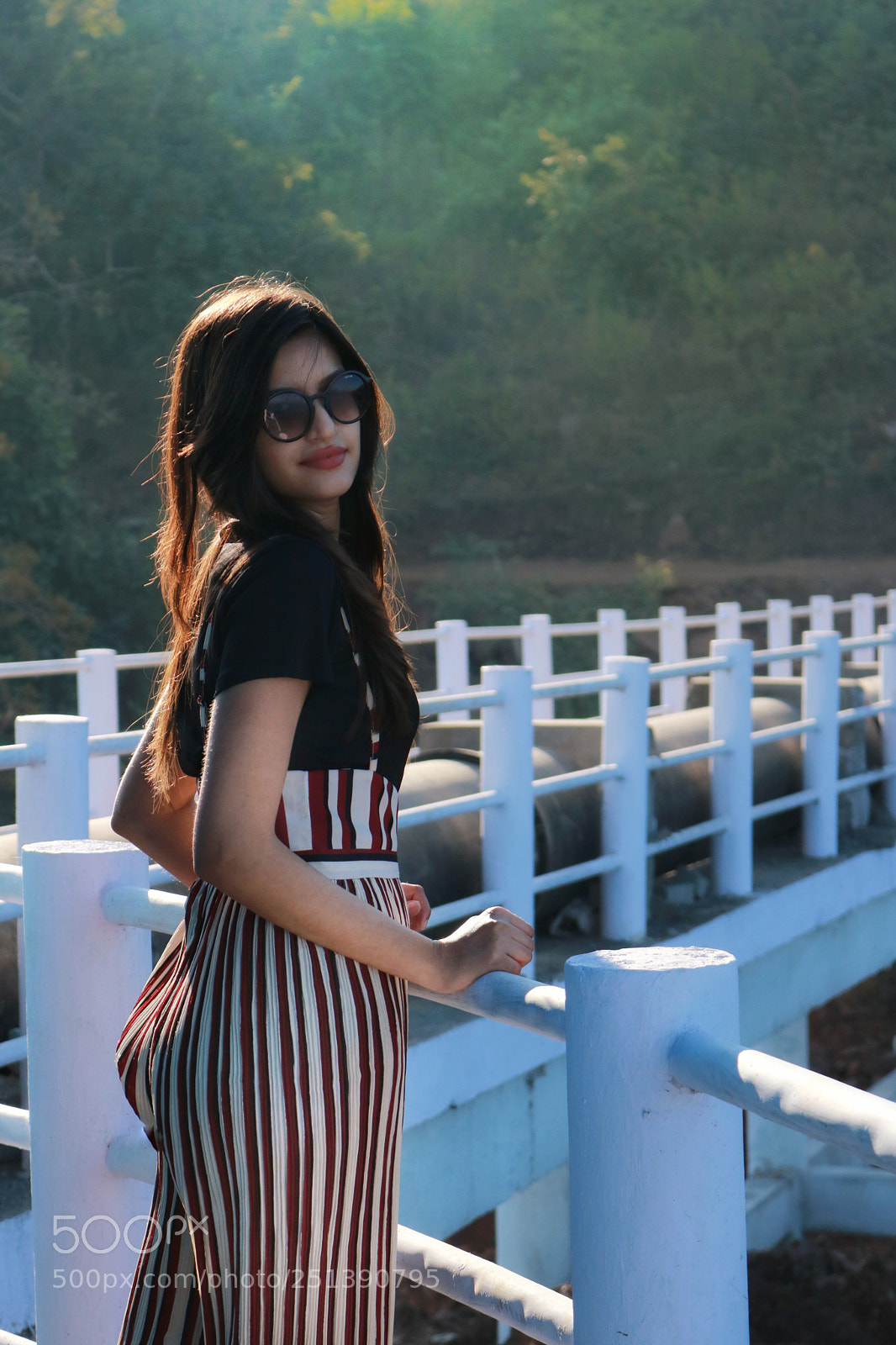 Canon EOS 750D (EOS Rebel T6i / EOS Kiss X8i) sample photo. ? photography