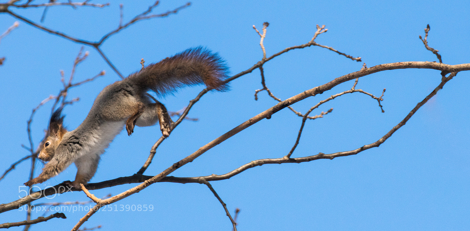 Sony ILCA-77M2 sample photo. Catch! photography