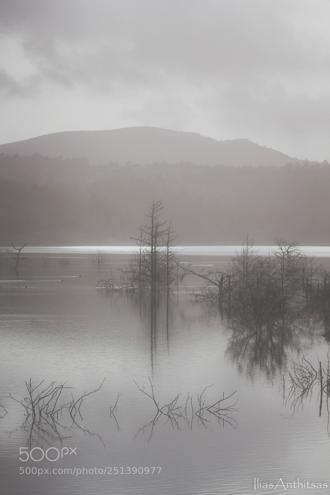 Canon EOS 550D (EOS Rebel T2i / EOS Kiss X4) sample photo. Foggy day photography