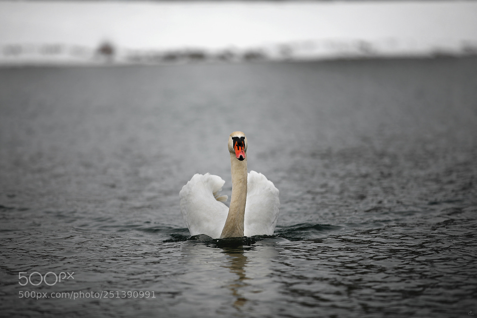 Canon EOS 5D Mark IV sample photo. Frontal... photography