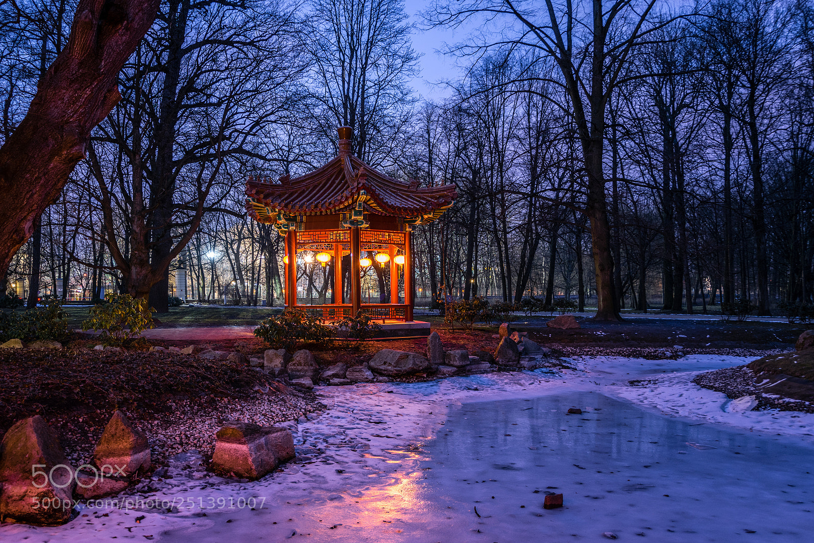 Nikon D5300 sample photo. Chinese garden in azienki photography