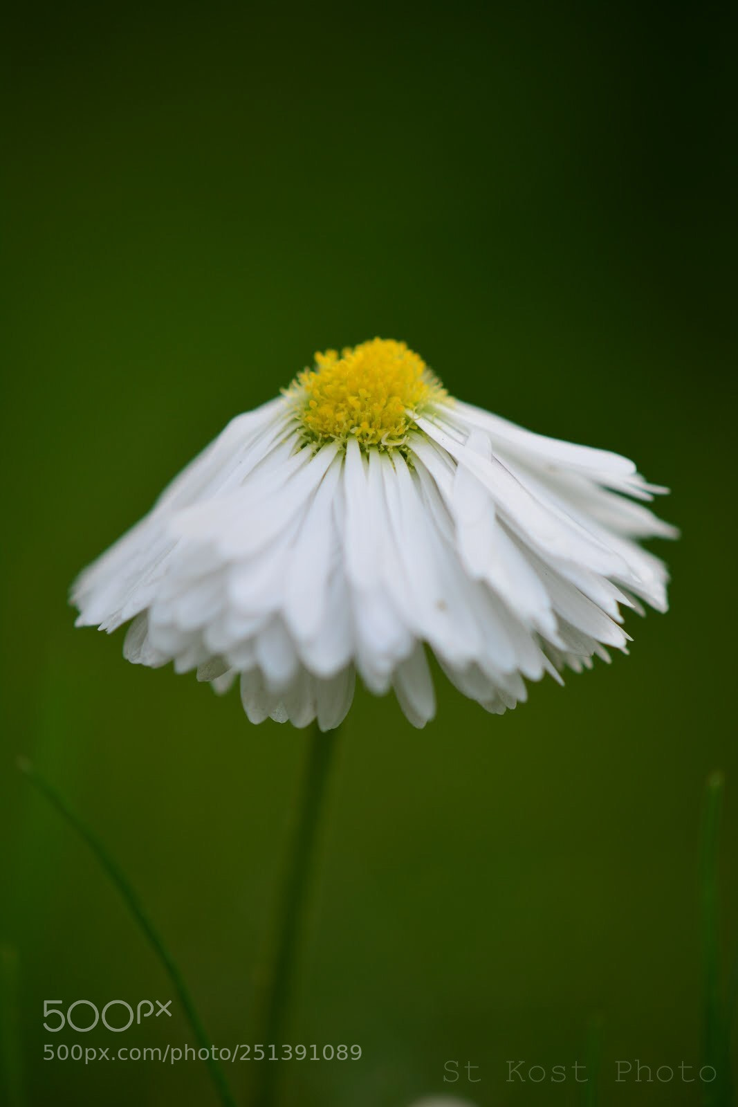 Nikon D5200 sample photo. A white skirt photography