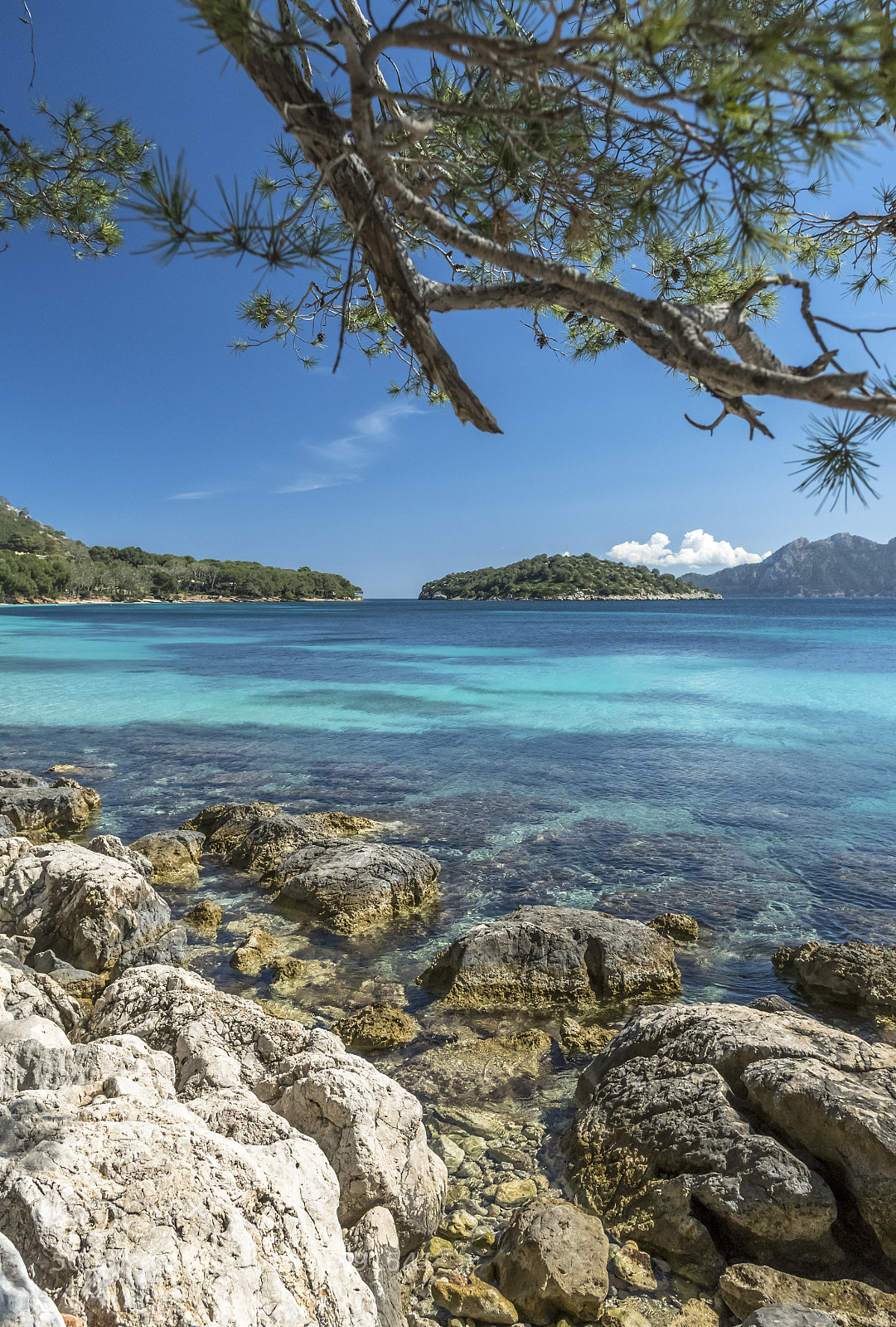 Nikon D500 sample photo. Playa de formentor photography