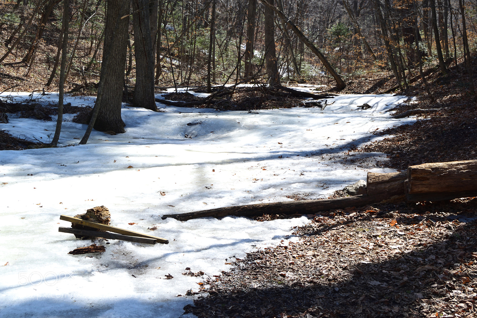 Nikon D3300 sample photo. A frozen creek in photography