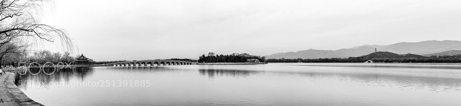Canon EOS-1D X Mark II sample photo. Untitled photography
