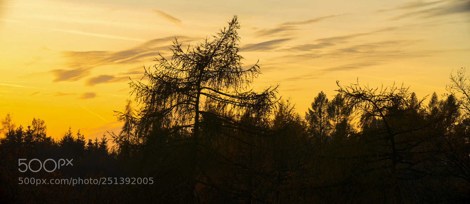 Sony a7 sample photo. Atmosphere photography
