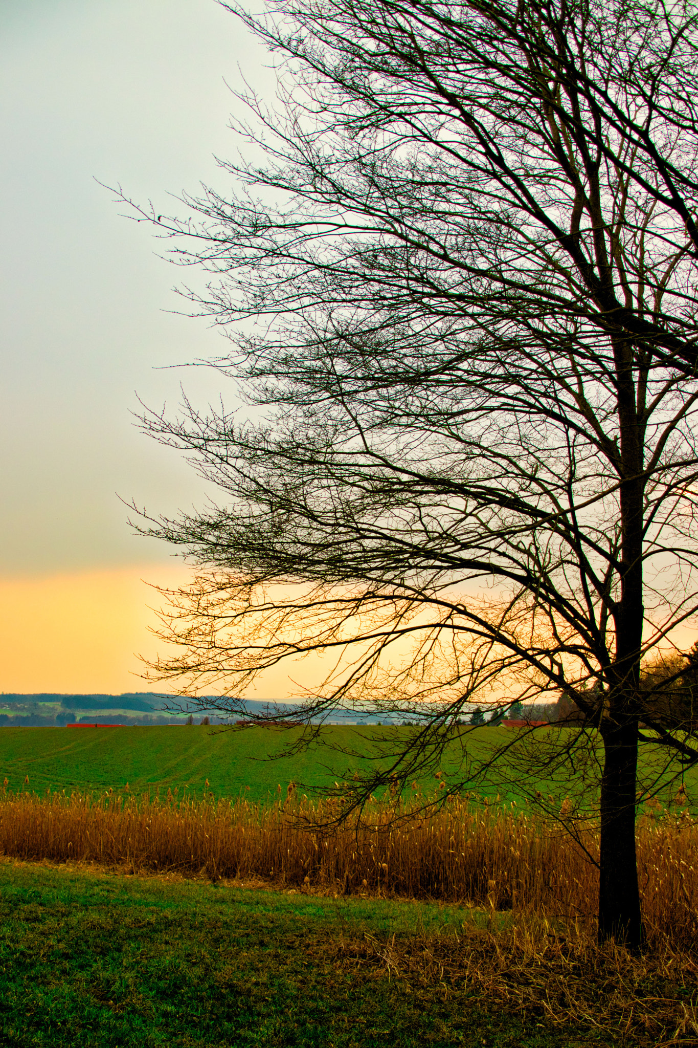 Canon EOS 77D (EOS 9000D / EOS 770D) + Canon TS-E 90mm F2.8 Tilt-Shift sample photo. Sonnenuntergang photography