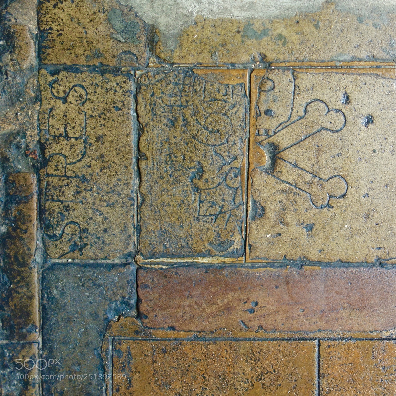 Sony Cyber-shot DSC-RX100 sample photo. Floor photography