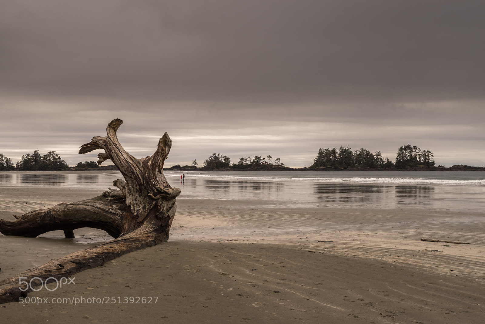Pentax K-1 sample photo. Chesterman beach photography
