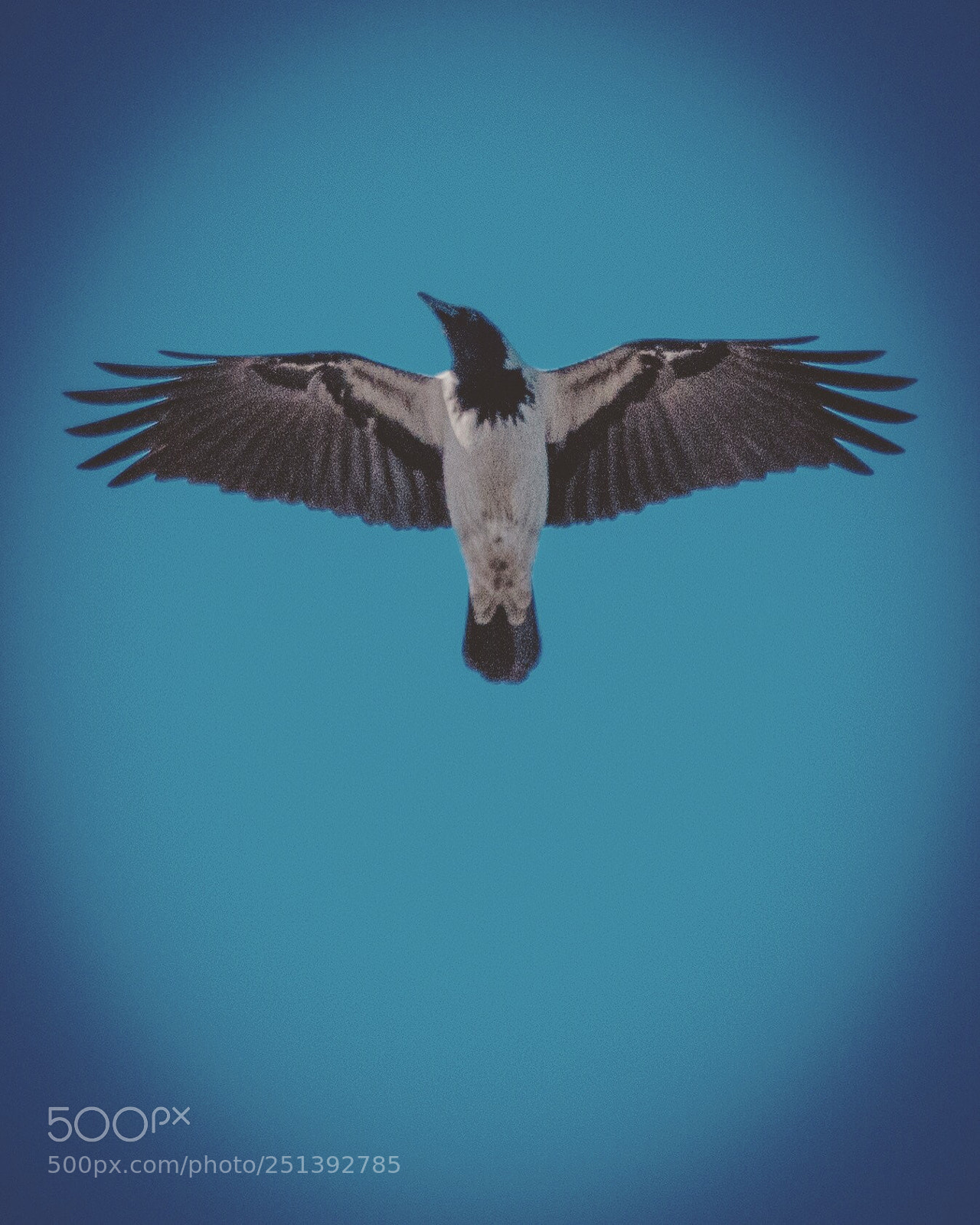 Nikon D7200 sample photo. Good friday = crow jesus photography