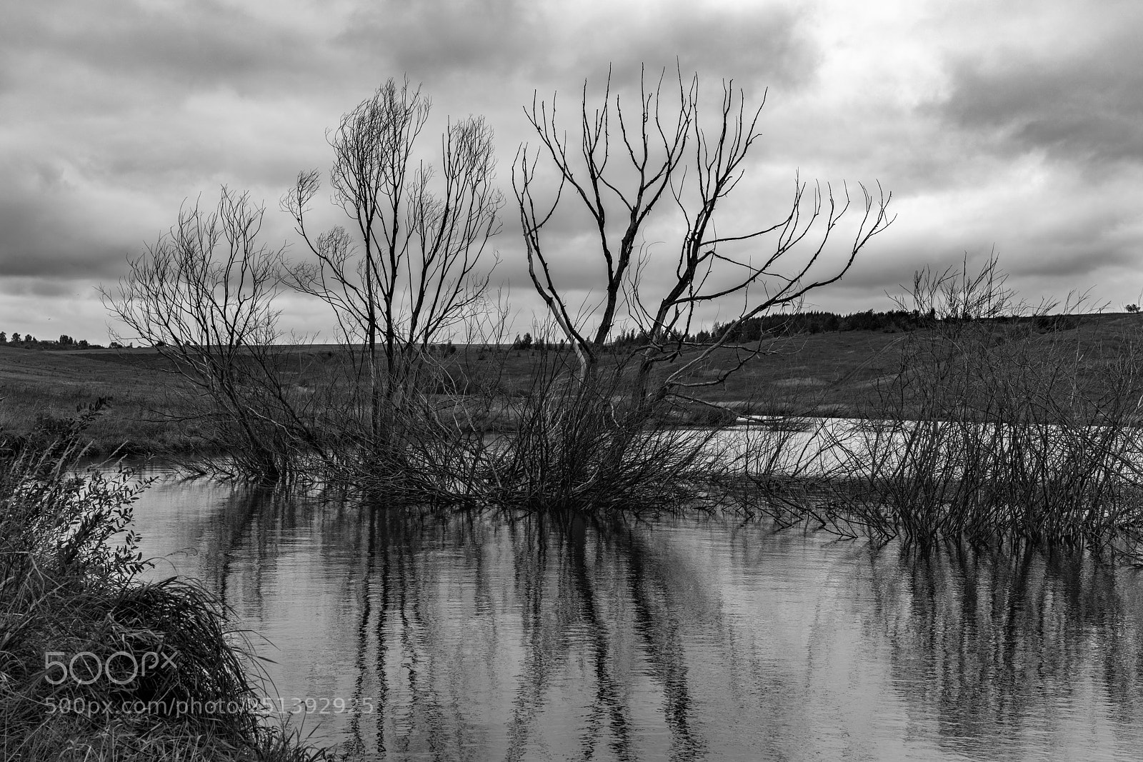 Sony a7R II sample photo. Reflection. photography