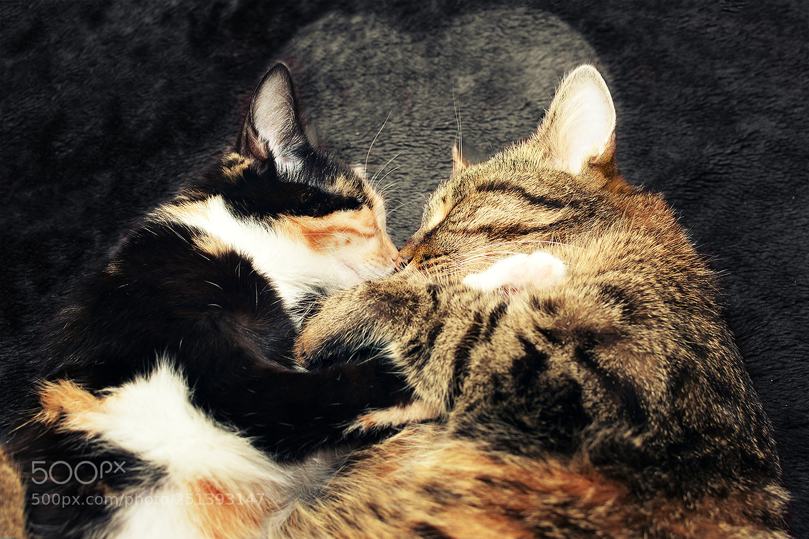 Nikon D5200 sample photo. Love is... photography