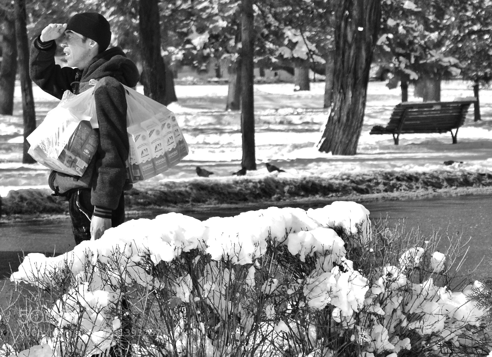 Sony Alpha DSLR-A200 sample photo. Street life in central photography