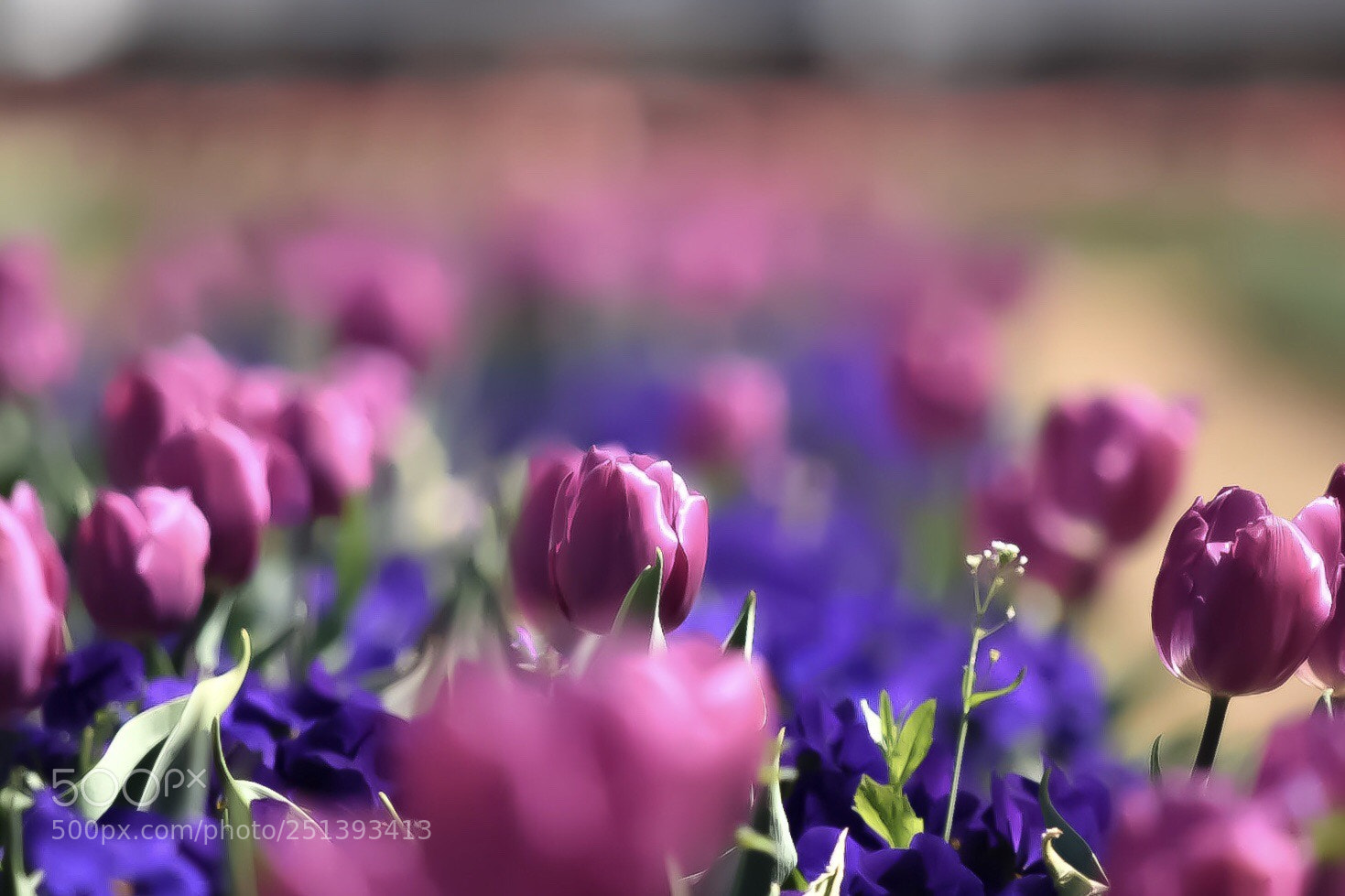 Nikon D5500 sample photo. Untitled photography