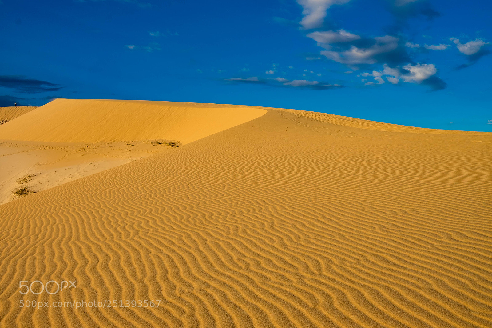 Fujifilm X-T10 sample photo. Desert waves photography