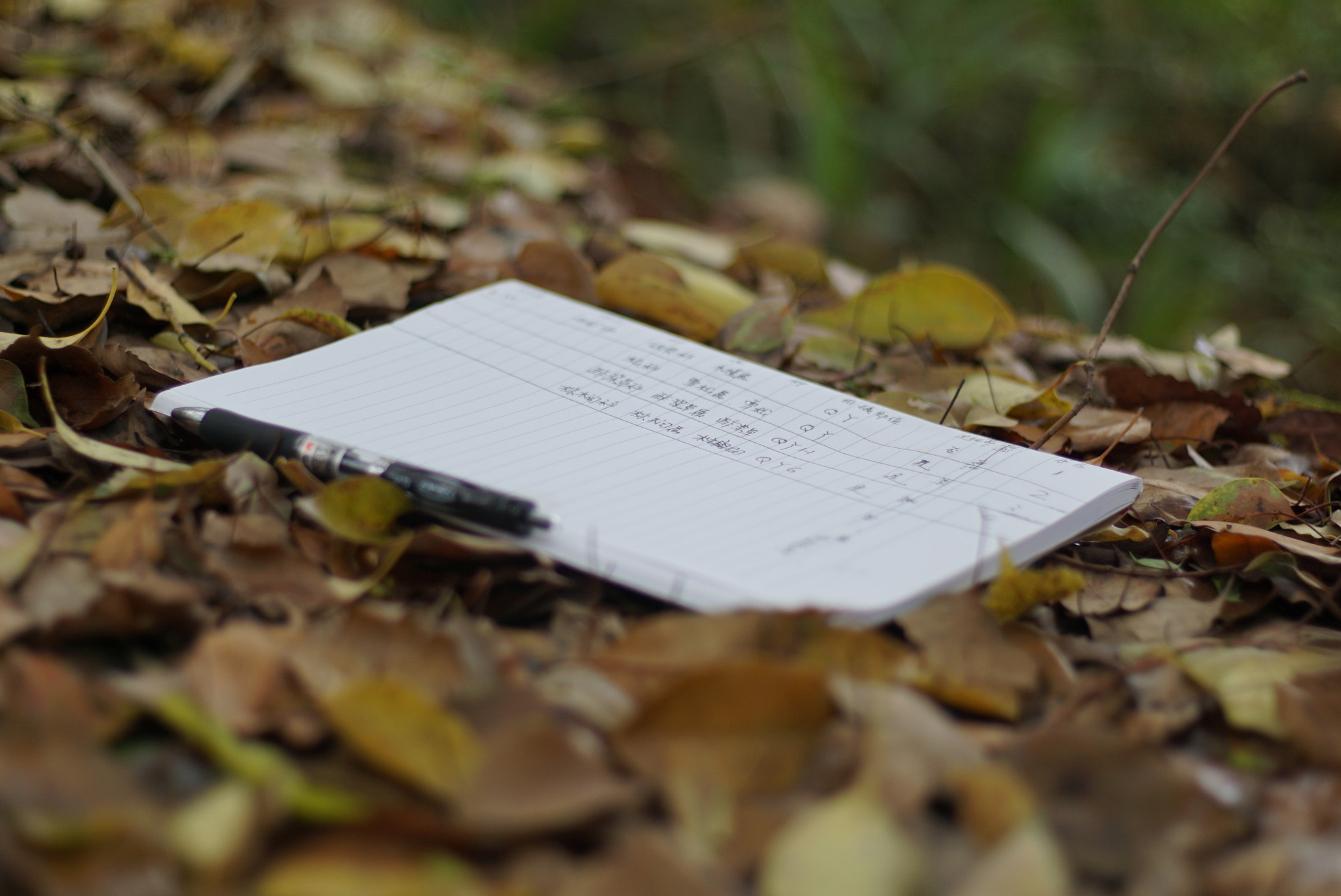 Sony a6000 + Sony DT 50mm F1.8 SAM sample photo. Notebook photography