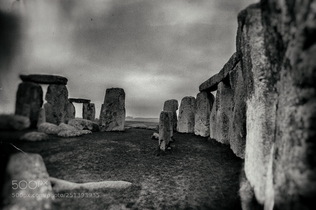 Canon EOS 5DS R sample photo. Amongst the stones photography