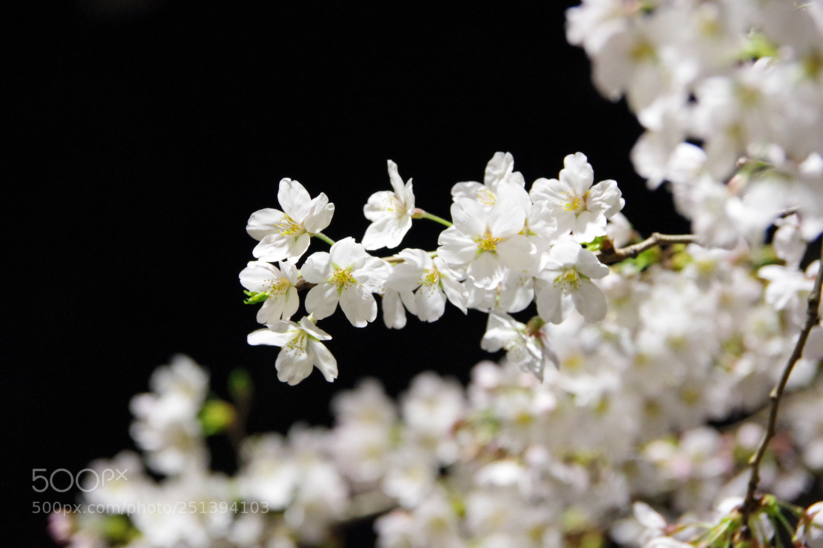 Pentax K-70 sample photo. Untitled photography