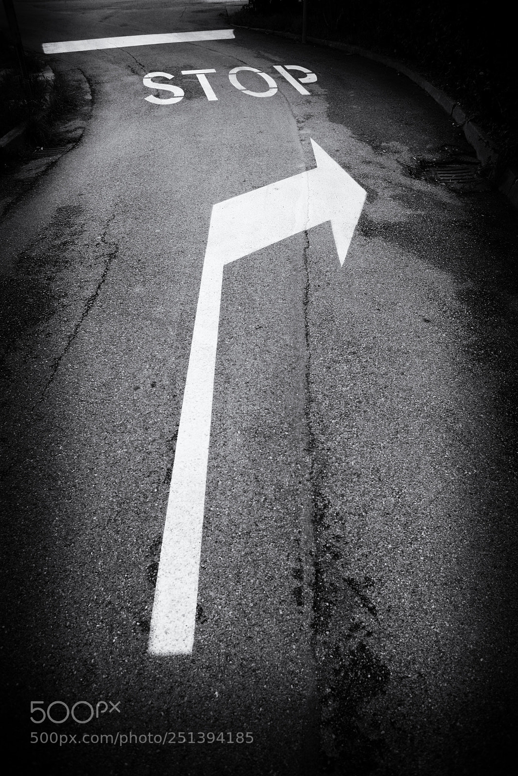 Nikon D600 sample photo. S t o p photography