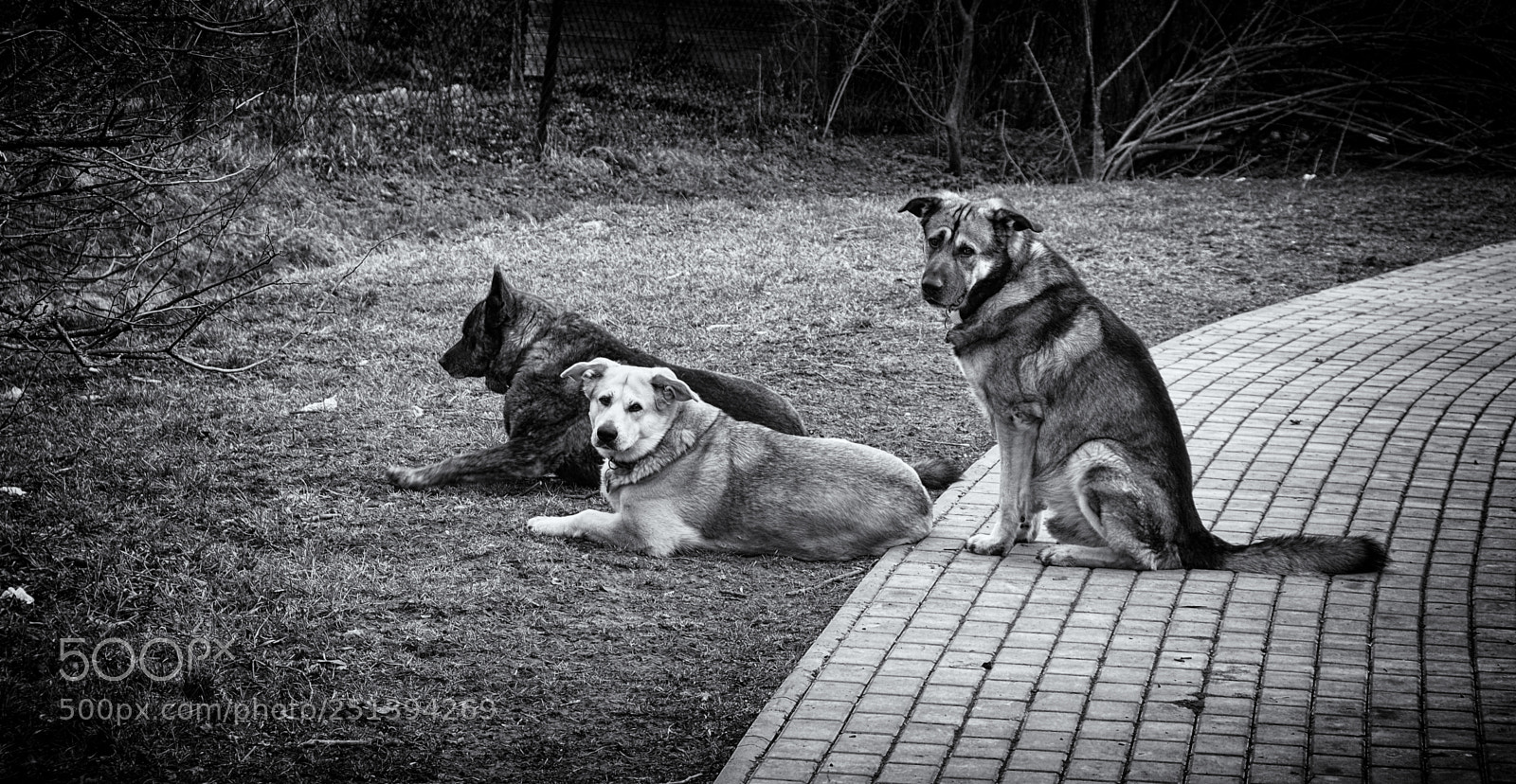 Olympus OM-D E-M10 II sample photo. Three... photography