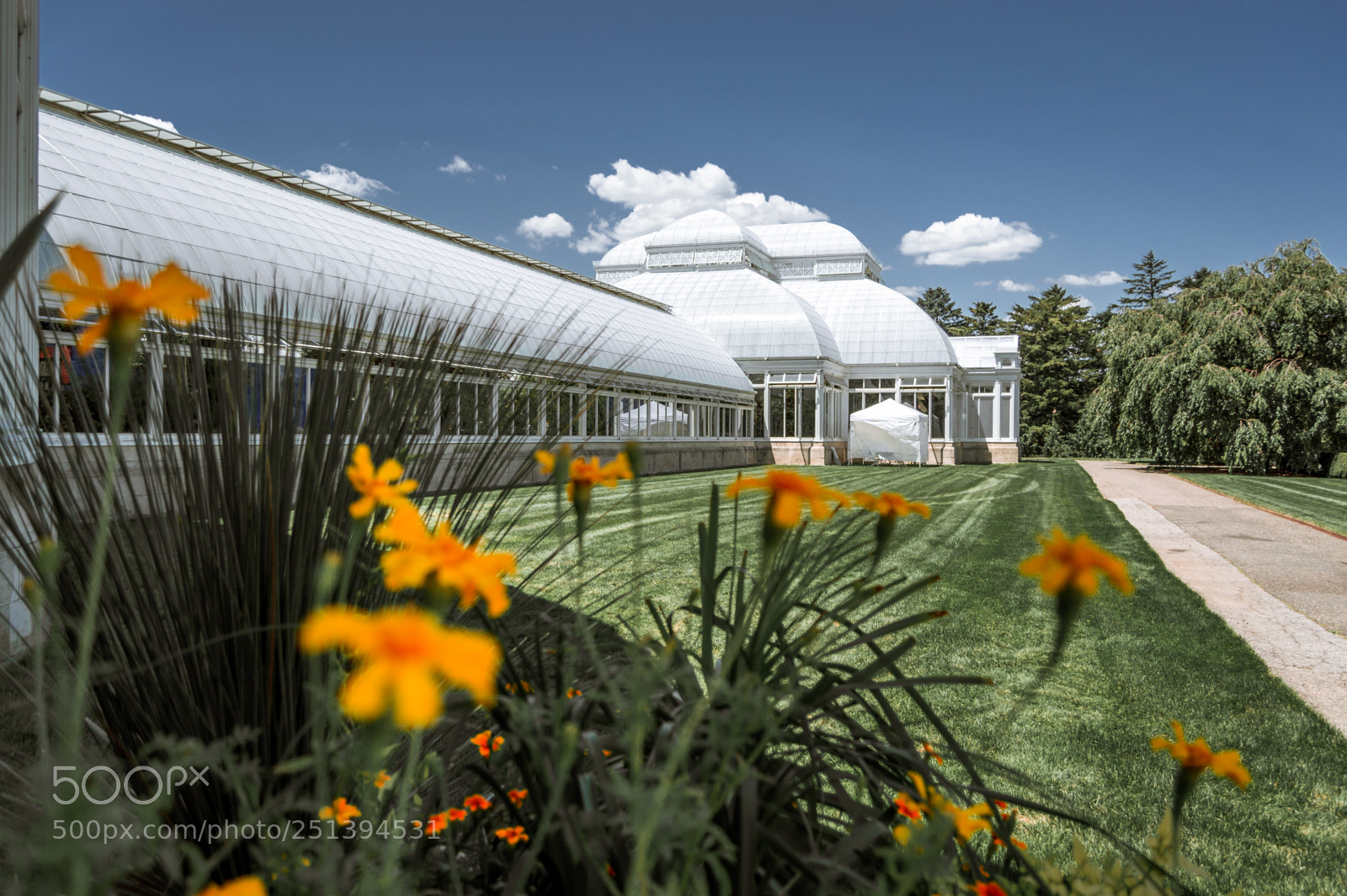 Nikon D3200 sample photo. Greenhouse photography