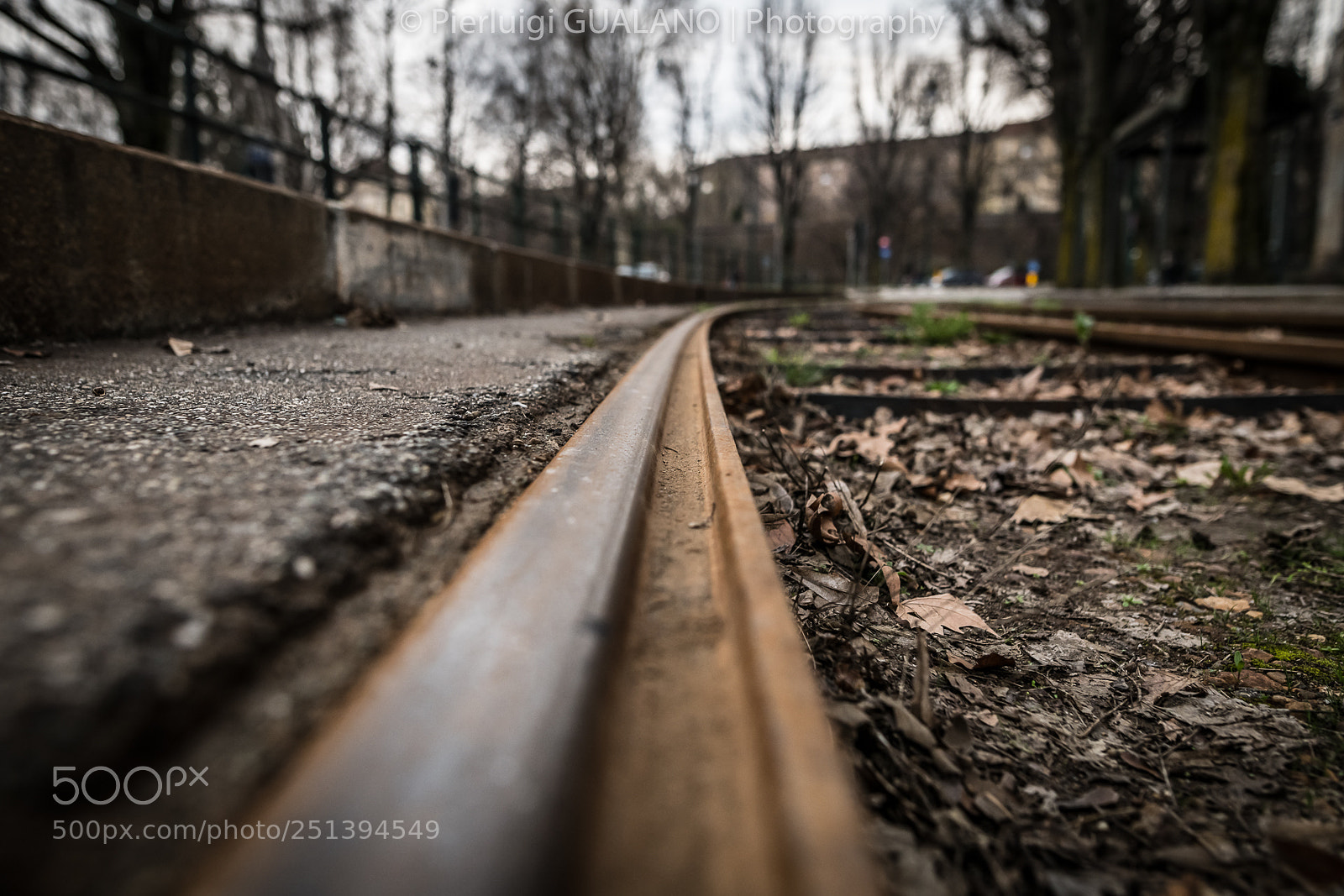 Nikon D850 sample photo. Tracks photography