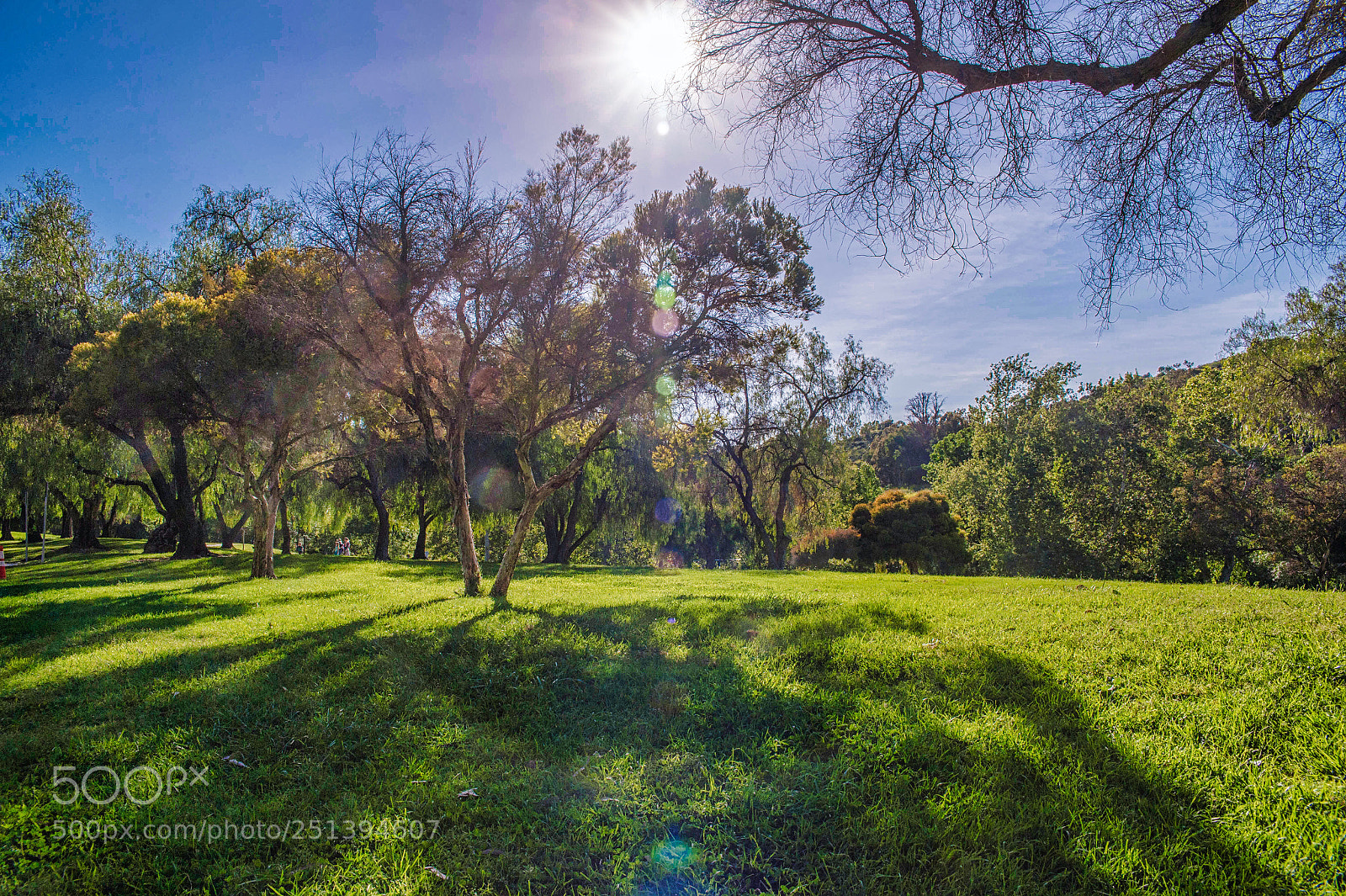 Nikon Df sample photo. Spring photography