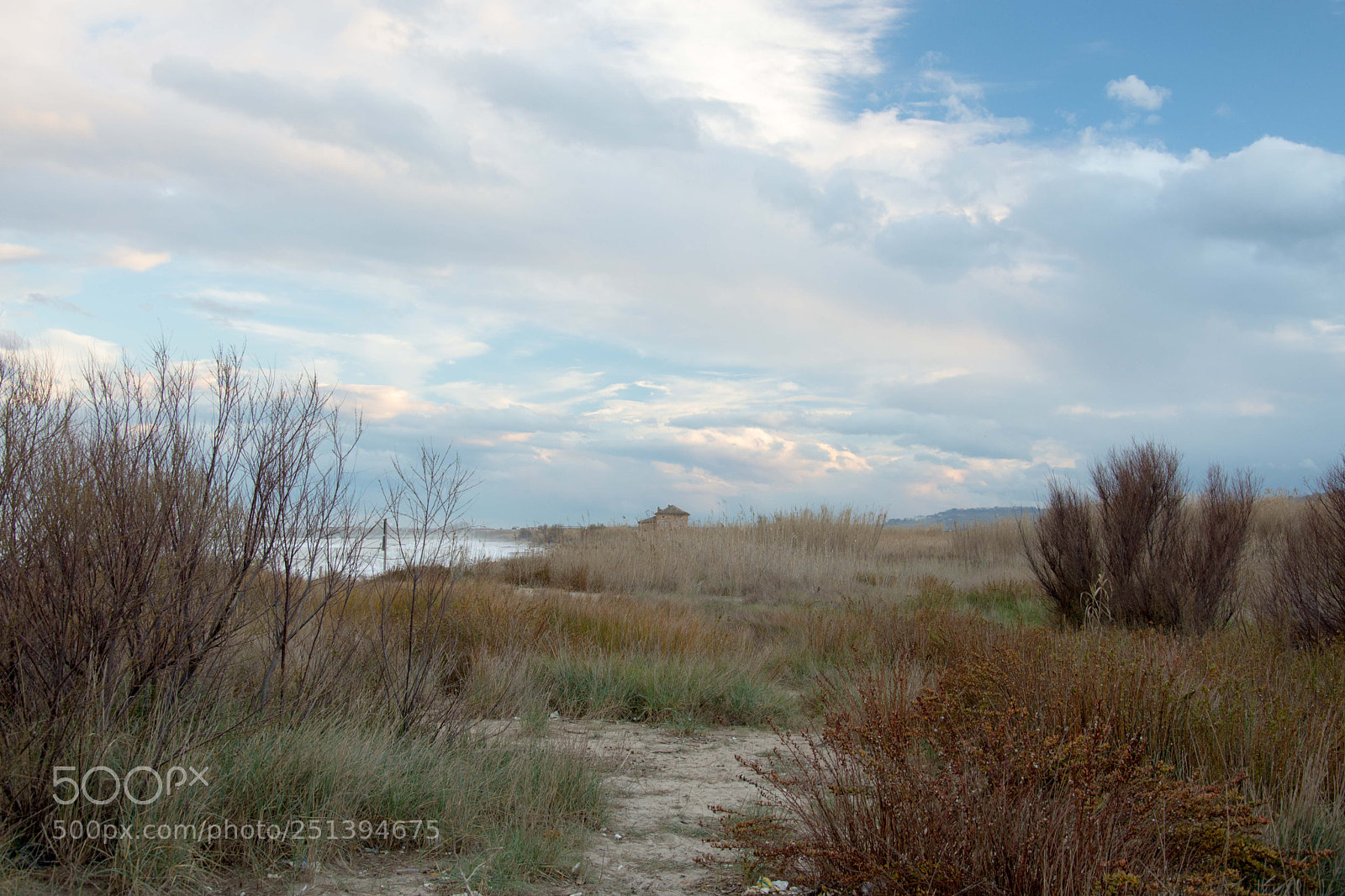 Nikon D7200 sample photo. Solitude photography