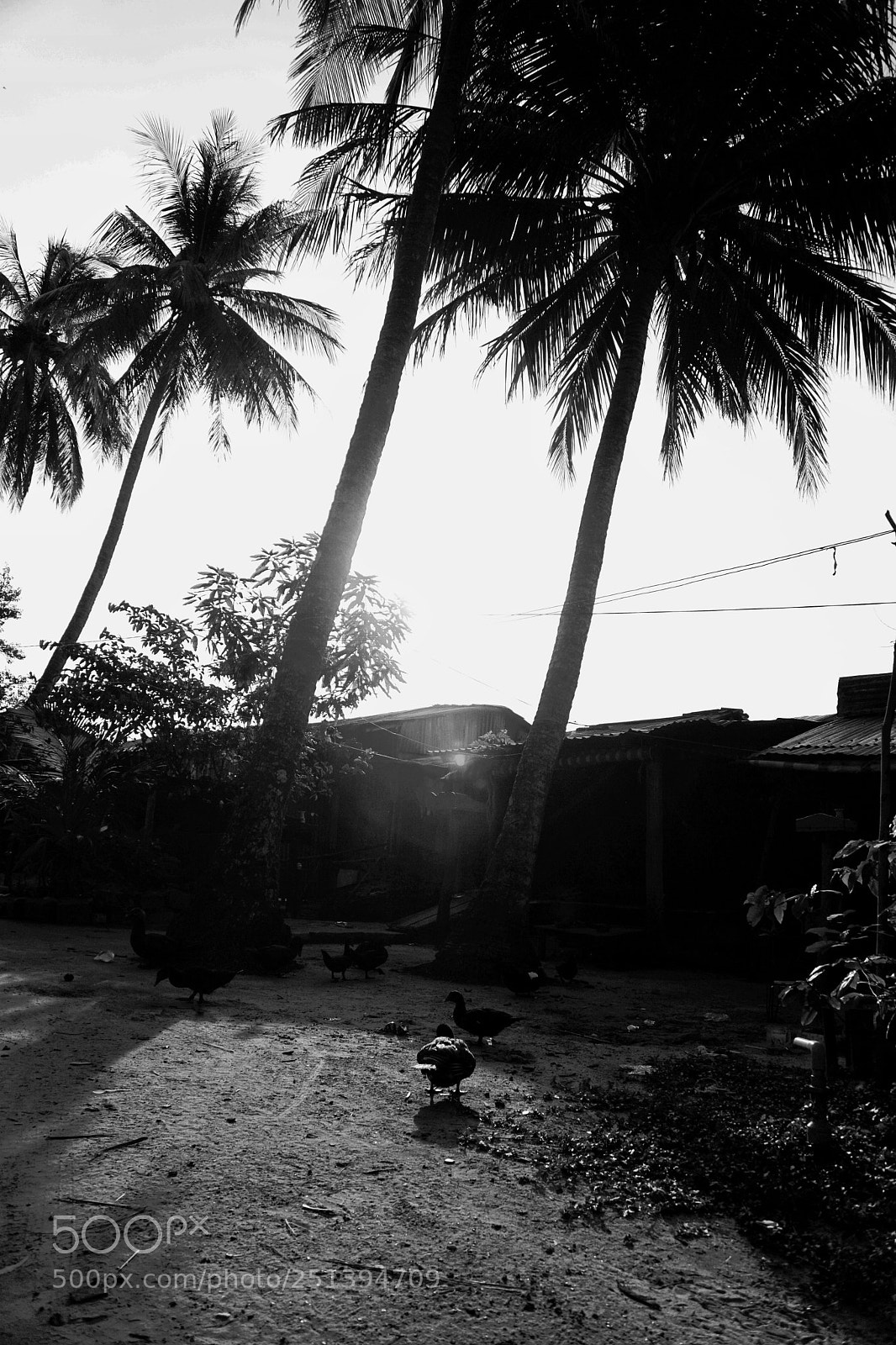 Sony a6000 sample photo. Dsc01401-01.jpeg photography