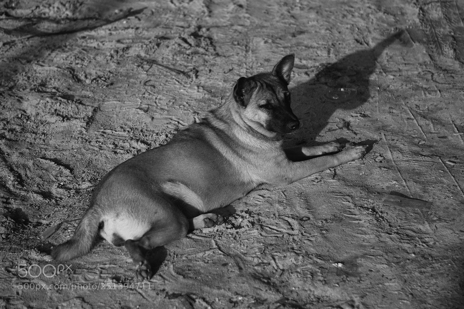 Sony a6000 sample photo. Dsc01430-01.jpeg photography