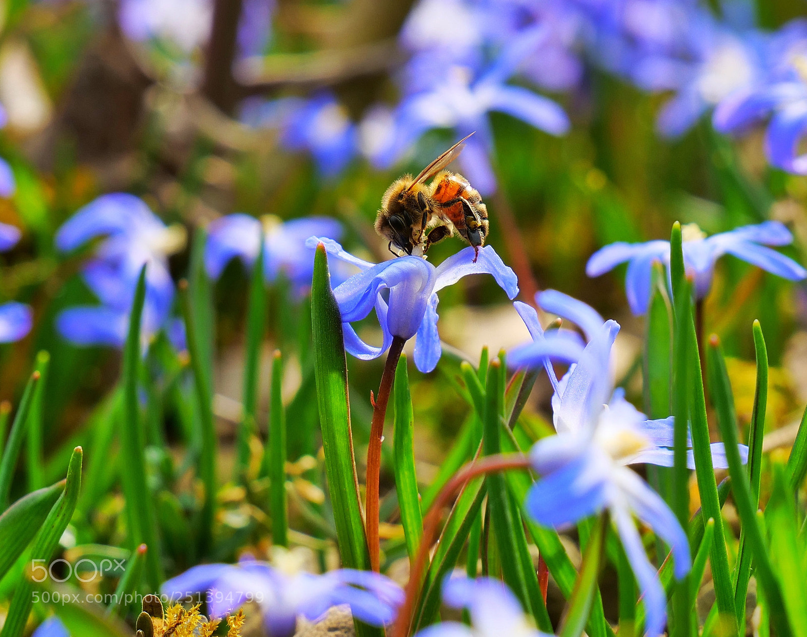 Panasonic Lumix DC-G9 sample photo. Colors and life in photography