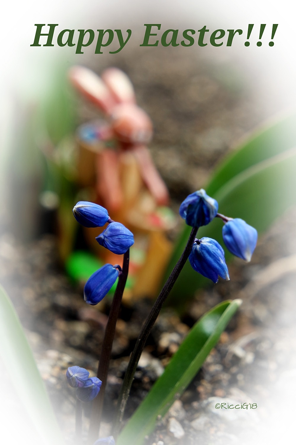 Samsung NX3300 sample photo. Happy easter photography