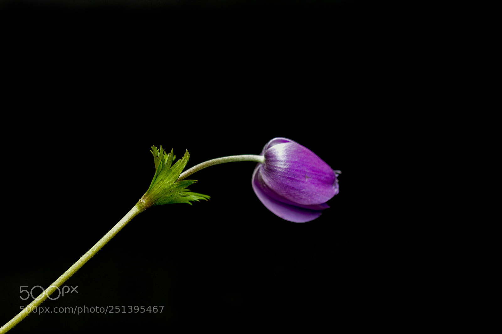 Canon EOS 7D sample photo. Img photography