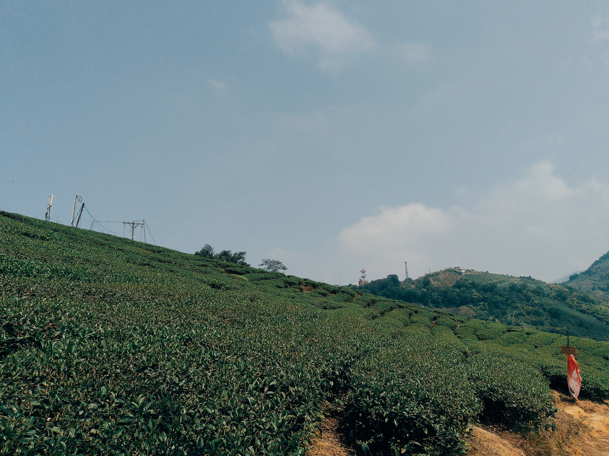 ASUS ZenFone 4 (ZE554KL) sample photo. Tea mountain photography