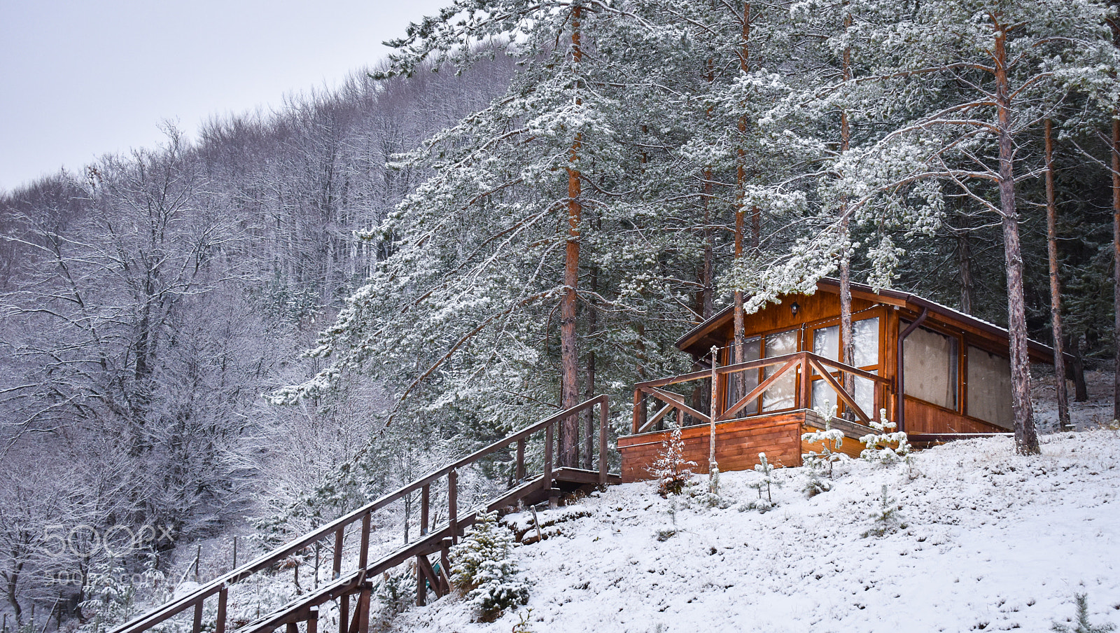 Nikon D5600 sample photo. Awesome hut in the photography